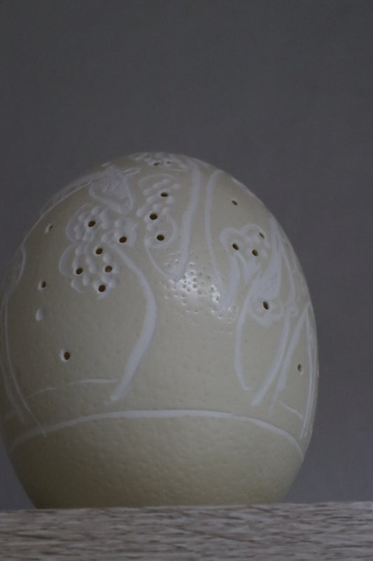 Ostrich Egg